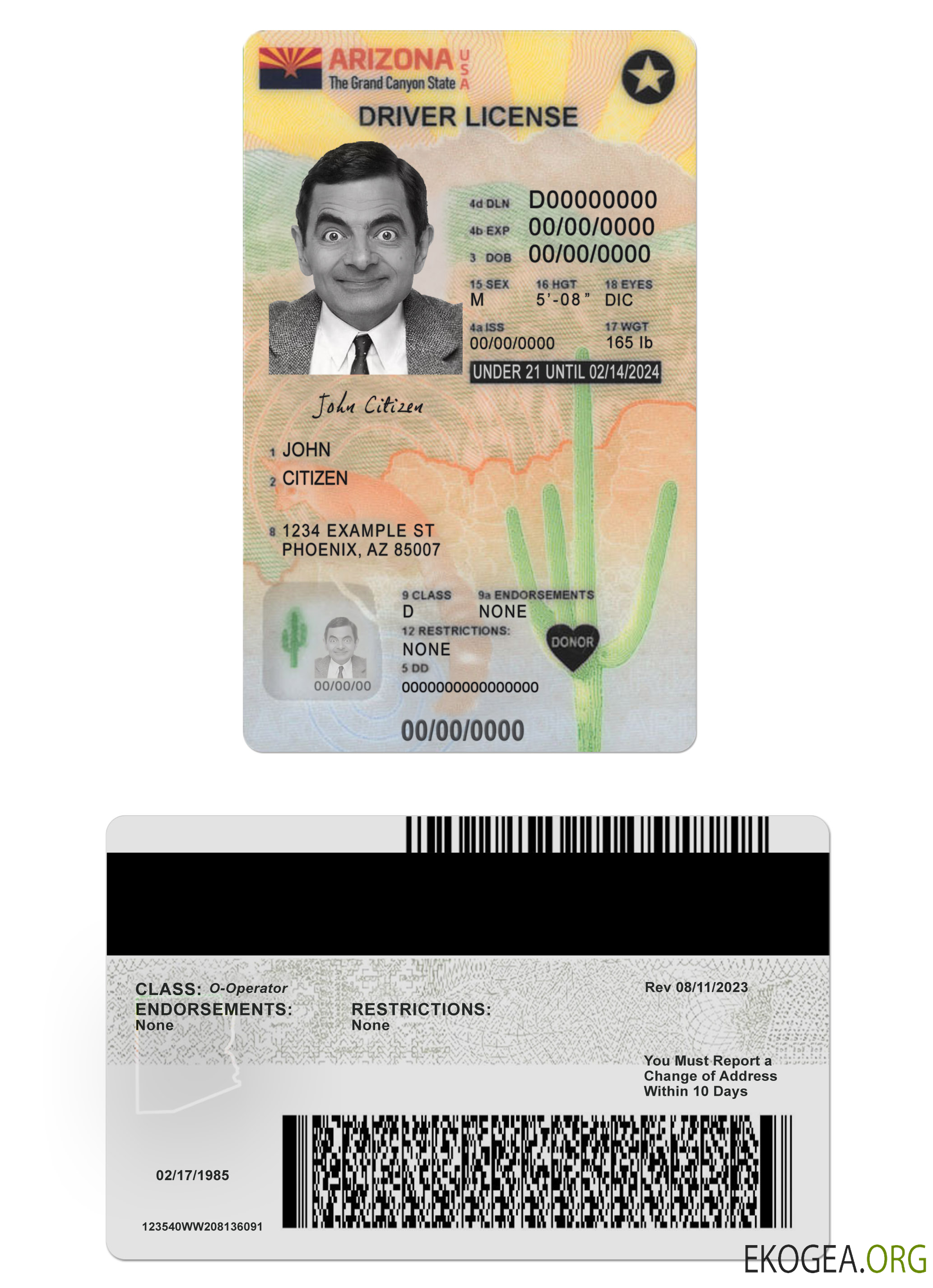 USA Arizona driving license under 21 version 2
